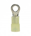 Nylon Insulated Closed Ring Terminal, 12-10 AWG, Bolt #10